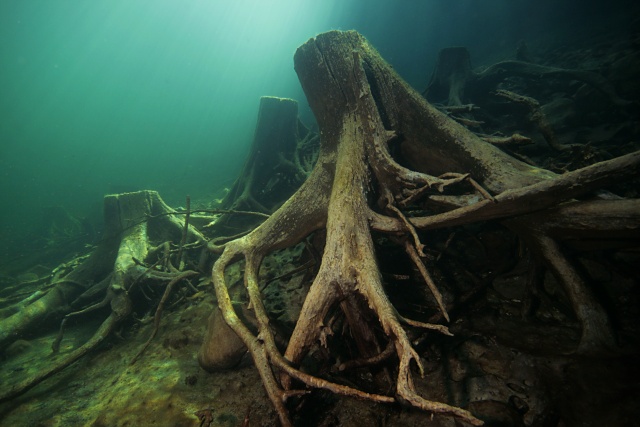 foto: Alena Vorkov - Jezero Gosau, Rakousko