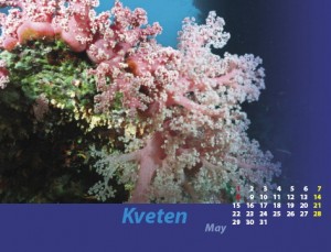 kvten