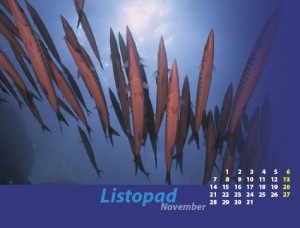 listopad