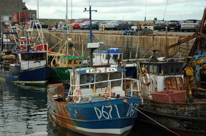 Dun Laoghaire marina - veterni