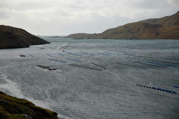 Plovouc farmy kebl v Killary Harbour