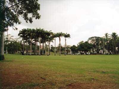 Park Martinique