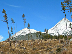 Smutn Tatry bez strom