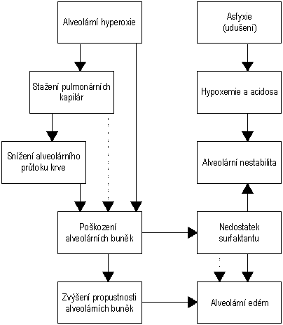 Schma mechahnismu celkov toxicity