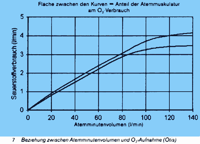 graf - obr. 7