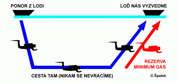 Schema:palek