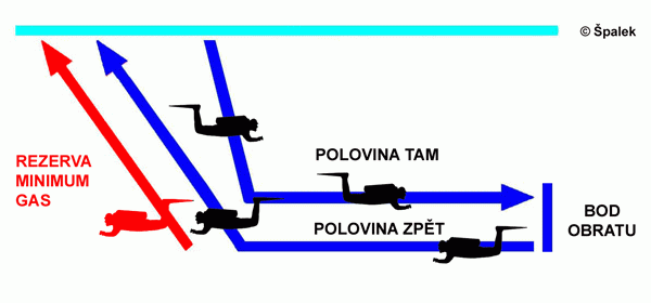 Schema:palek