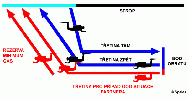 Schema:palek