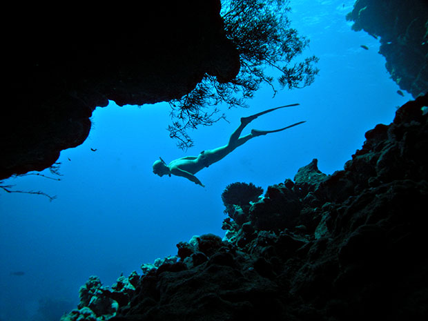 Freediving pod pevisy (Foto Tom Sldek)