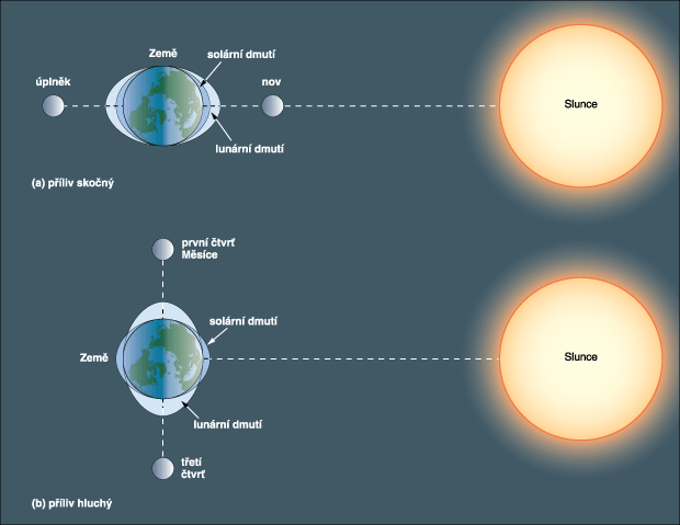 Souvislost uspoøádání tìles v soustavì Zemì – Slunce – Mìsíc a slapových jevù